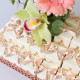 1Pc Giveaway Perfo Tray 50