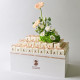 1Pc Giveaway Tall Tray 50