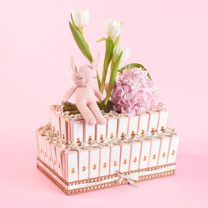 Molisnack Tower 65 Pink